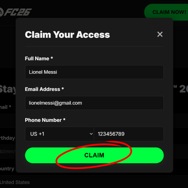 Visual guide for the information form