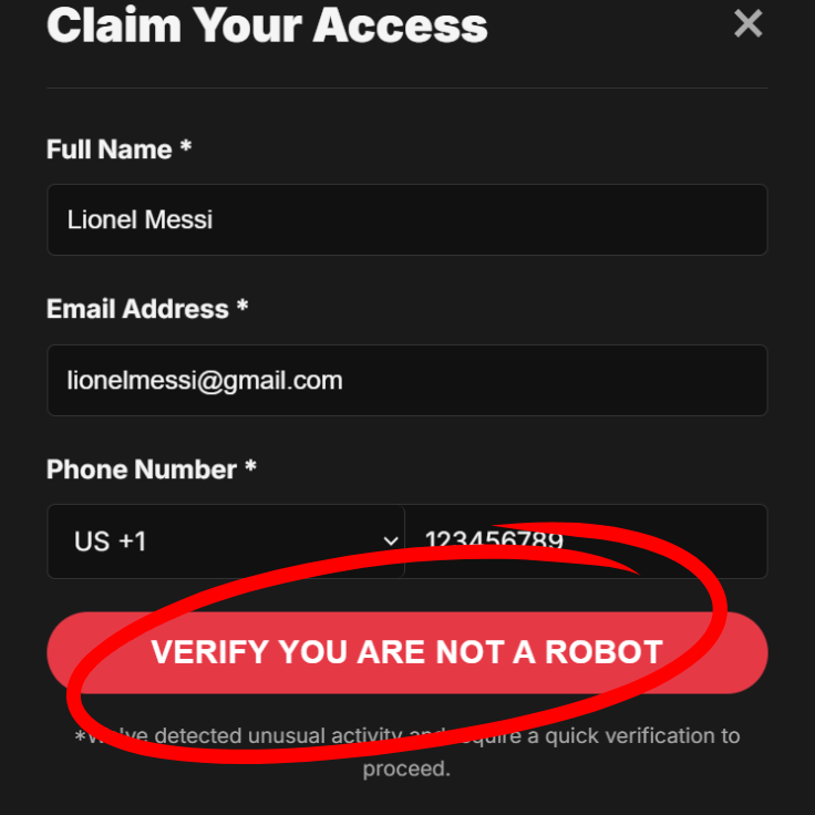 Visual guide for the verification step